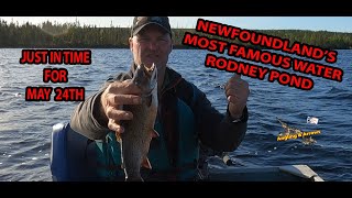 NEWFOUNDLAND'S FAMOUS RODNEY POND, CHASING SPECKLED TROUT IN THE BACK COUNTRY
