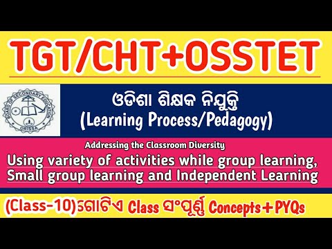 Using Variety Of Activities While Group Learning, Small Group Learning, Self Learning||OSSTET|TGT|