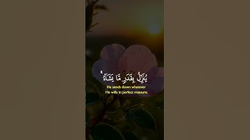 سورة الشورى  * وَلَوْ بَسَطَ اللَّهُ الرِّزْقَ لِعِبَادِهِ لَبَغَوْا فِي الْأَرْضِ وَلَكِن يُنَزِّلُ