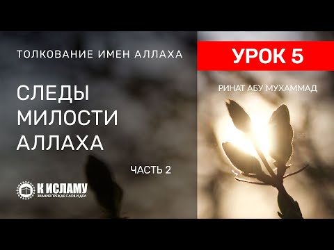 5. Следы милости Всевышнего Аллаха. Часть 2