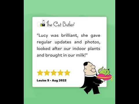 Start Your Own Cat Care Business Pet Care Franchise Business Opportunity The Cat Butler 