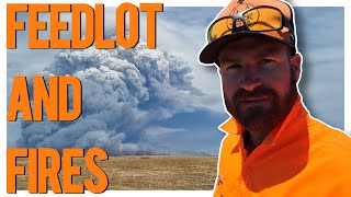 Reflecting on Esperance Fires: A Day on the Farm with George | Jack Out The Back