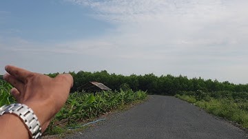 NVT1286 Hai lô đất cực đẹp xã Phước Tân, Xuyên Mộc đường nhựa thênh thang giá cực tốt