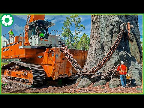 Most Dangerous Big Chainsaw Cutting Tree Machines | Biggest Heavy Machinery Machines - The Engine