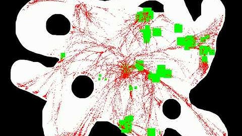 Slow Motion Fractal Growth