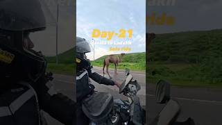 Kerala To Ladakh Solo Bike Ride Day-21