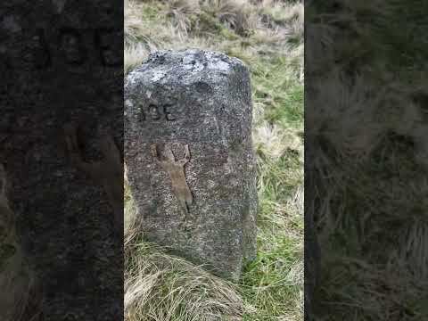 A walk up Dean Black Brook, White Coppice, Rivington #hiking #walking #nature #adventure #waterfall