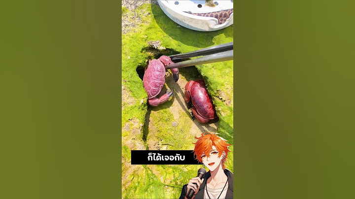 พี่จีนล่าปลาไหล! หม้อไฟทะเลเดือด! 🔥