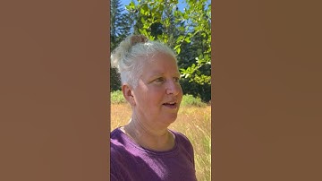 On Stress, Anxiety, and Embracing Unexpected Change #substack #shorts