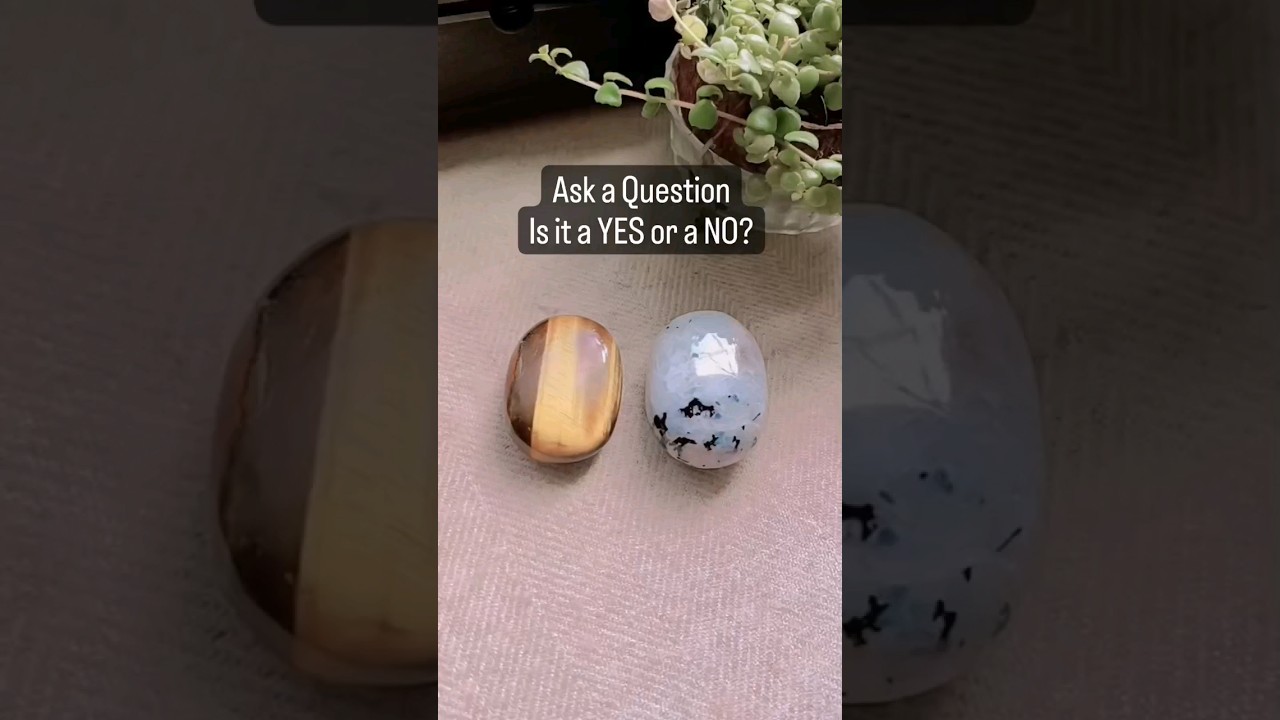 Ask ANY Question & Receive an INSTANT Answer ✅YES Or ❌NO Reading pick-a-card🔮✨Tarot Reading✨ YouTube