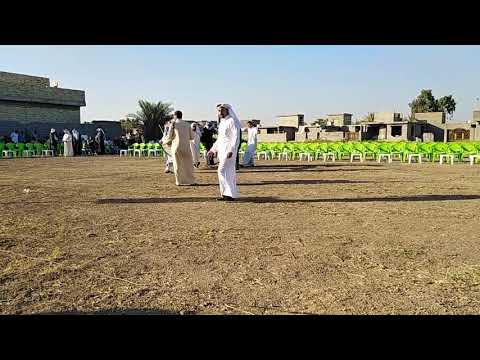 جوبي فرقة احمد الهربود عكيلية مع المطرب نمر الدوري في هور رجب 2019