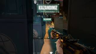 Kuzen Önemli̇ Tabi̇i̇i̇