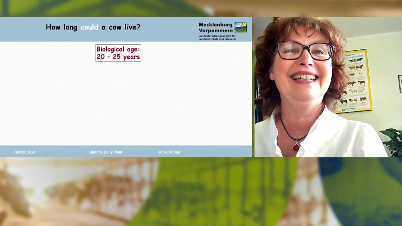 Lifetime Daily Yield is essential to achieve sustainable and profitable dairy farming