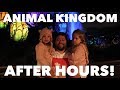 GOING INTO ANIMAL KINGDOM AT DISNEY WORLD AFTER HOURS