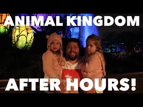 GOING INTO ANIMAL KINGDOM AT DISNEY WORLD AFTER HOURS - YouTube