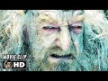 Healing King Theoden Scene | THE LORD OF THE RINGS THE TWO TOWERS (2002) Movie CLIP HD