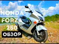 Honda Forza 250