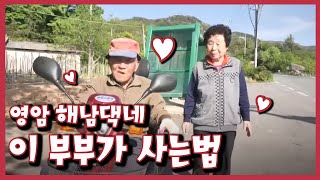 [남도지오그래피] 이 부부가 사는법, 영암 해남댁네 / KBS 210503