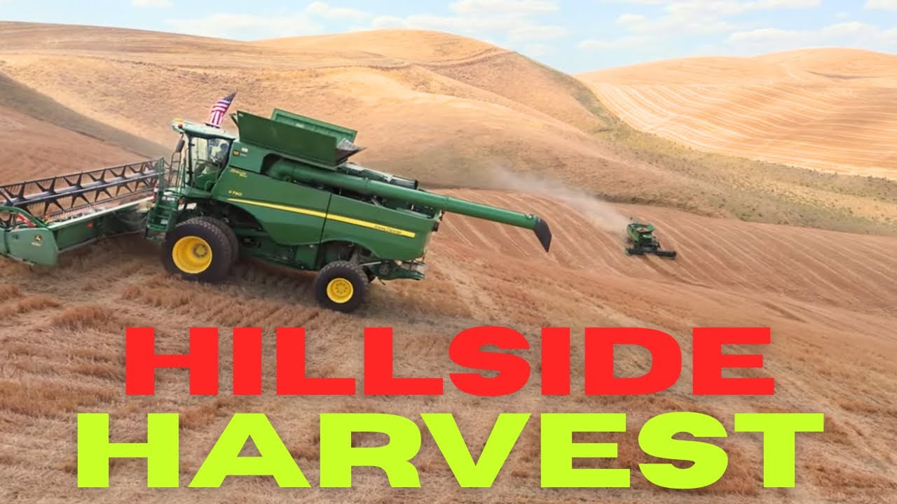 Hill Farming in Harvest