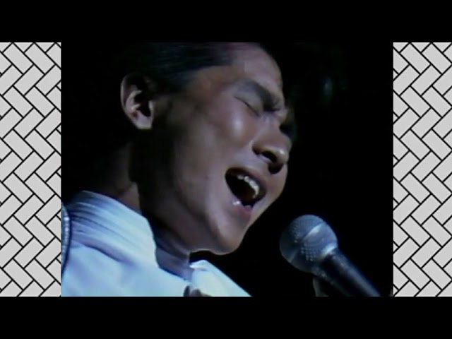 宝酒造 タカラ本みりんてりっこ 郷ひろみ 1995年 - YouTube