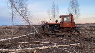 ДТ-75. Натянул гусеницу. Корчую березы.