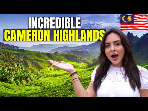 Video: Explorando las Cameron Highlands de Malasia desde Tanah Rata