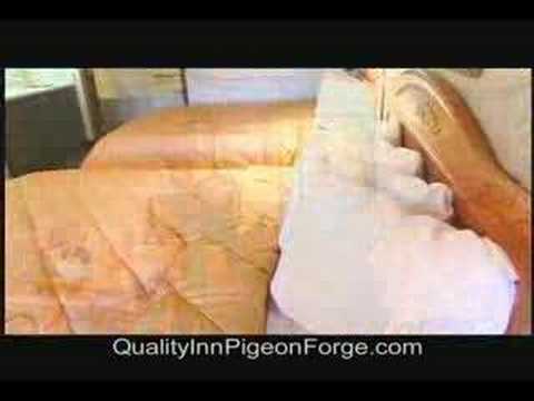 Quality Inn & Suites at Dollywood Lane - Pigeon Fo...