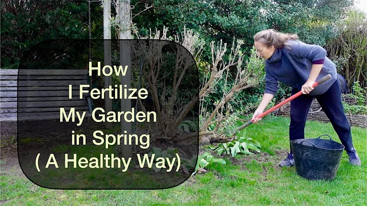 How I Fertilize my Garden in Spring