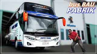 5 BUS BARU UNTUK PEMAIN BARU | Bus Pariwisata Haryo Trans
