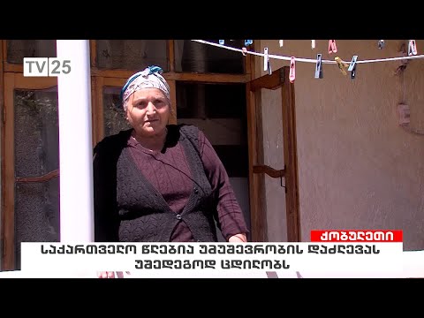 საქართველო წლებია უმუშევრობის დაძლევას უშედეგოდ ცდილობს