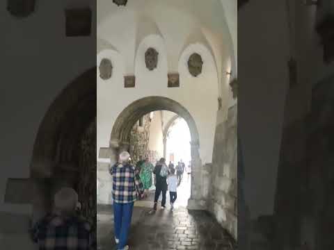 Я все життя до тебе довго йшов 