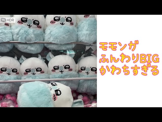 ふんわりモモンガBIGみて！ - YouTube