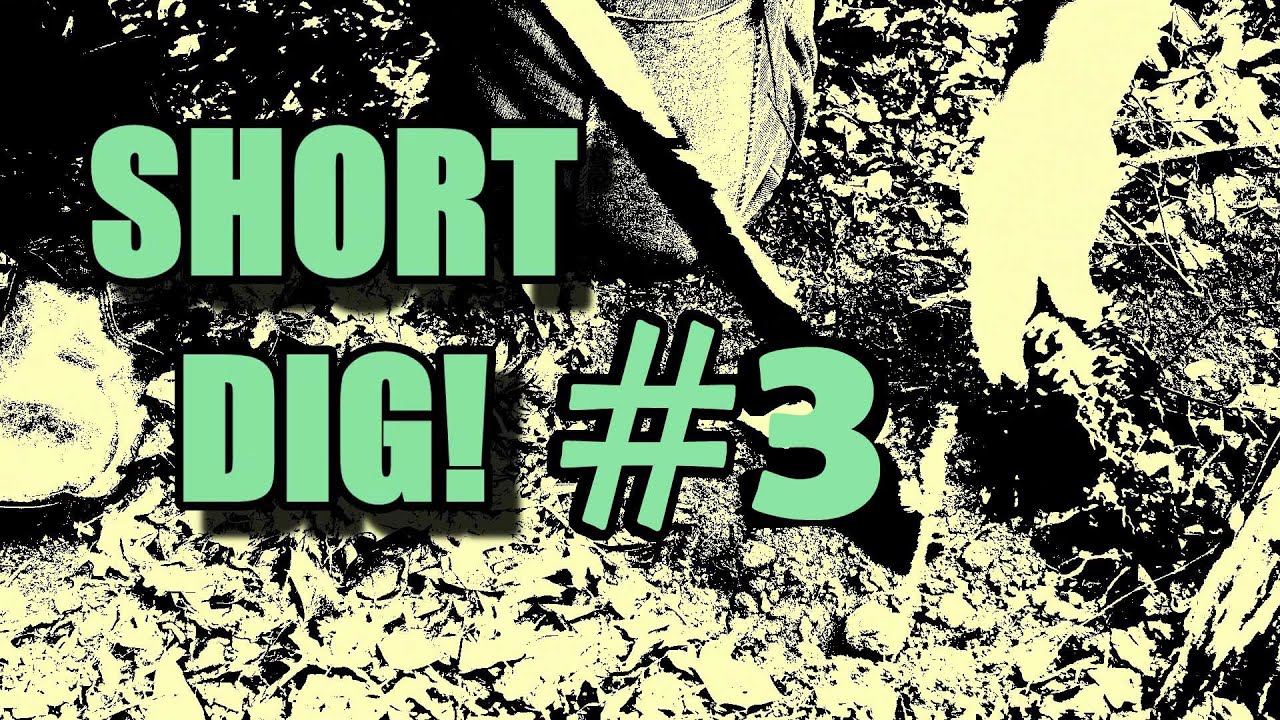 Short Dig #3 Hunting At Fort Lindley For The Museum - YouTube