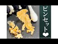 147 ＃耳掃除#耳かき#earwax【大好評のピンセットめりめり施術❤︎お耳からまさかの…天かす！？お掃除動画】