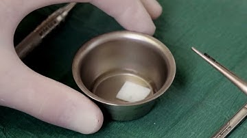 Discover NovoMatrix™ | Biomaterials