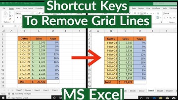 Shortcut Key to Remove Grid Lines in MS Excel | Keyboard Shortcut to Remove Grid Lines in Excel
