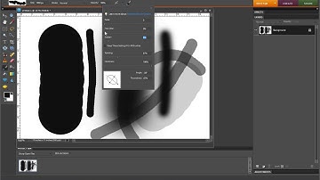 Exploring the Brush Tool in Photoshop Elements 8