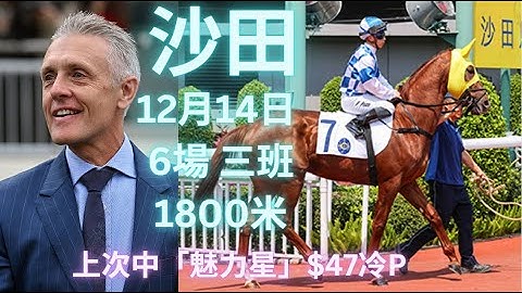 「冷門」潛力馬健康好轉，大賽日岀手「求加分」跑四歲賽！