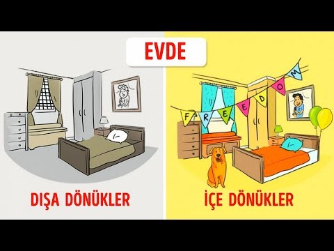 Video: Dışa Dönükler Vs. İçe Dönükler, Kim Daha Iyi?