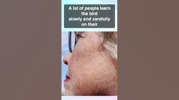 Bird-watching for beginners! Tips from a birding biologist.