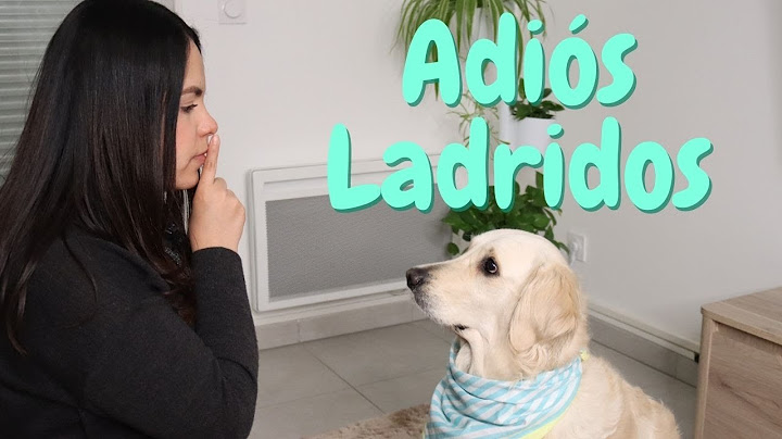Teach your dog to stop barking on command