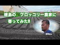 徳島のブロッコリー農家に寄ってみた‼︎2023.10.1#1376