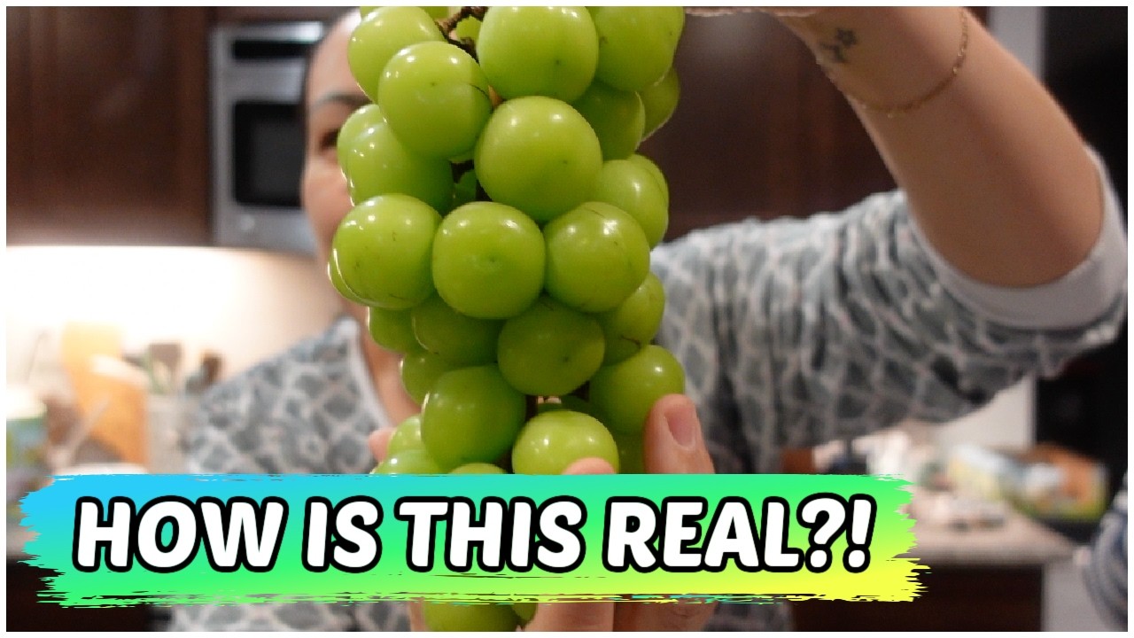 Мы что, едим пластик?! - 19 февраля 2026 г.