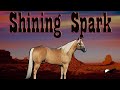 El Gran Shining Spark (Semental Numero 6 De La AQHA)🐴-Del Cerro Soy