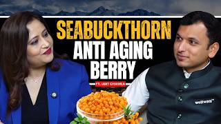 Partnered: Sea Buckthorn Research: Omega 7, Antioxidants & Immunity | Udit Chawla Podcast