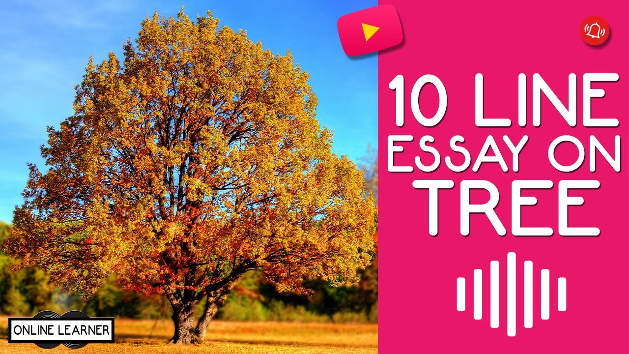 10 line essay on Tree 10 Lines on Tree in English Tree essay 10