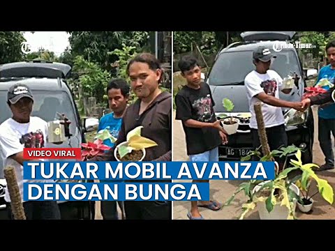 Assalamu'alaikum semuanya... Kali ini perkenankan saya mereview TOYOTA AVANZA 2005. Mobil Toyota Ava. 