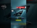 Megalodon Wasn’t Weak Enough to Go Extinct