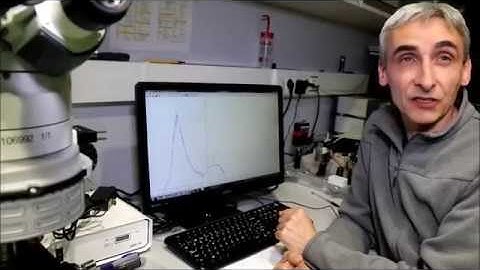 Magnetoplasmonics: In the Lab with Paolo Vavassori