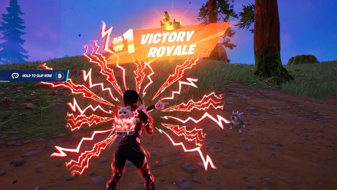 Back To Back) Epic LISA (Solo Win #237) In Fortnite Chapter 7